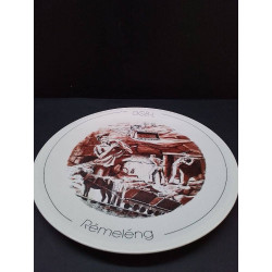 ASSIETTE VILLEROY ET BOCH 