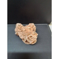 ROSE DES SABLES