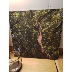 TOILE PHOTO NATURE GRAND...