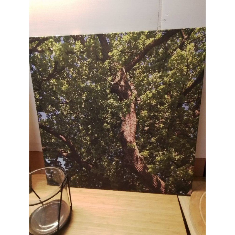 TOILE PHOTO NATURE GRAND MODÈLE 