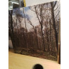 TOILE PHOTO NATURE GRAND MODÈLE 