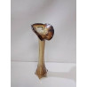 SOLIFLORE VERRE BRUN