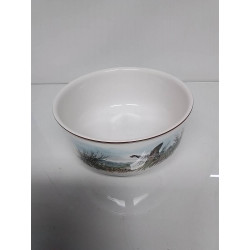 SALADIER VILLEROY&BOCH...