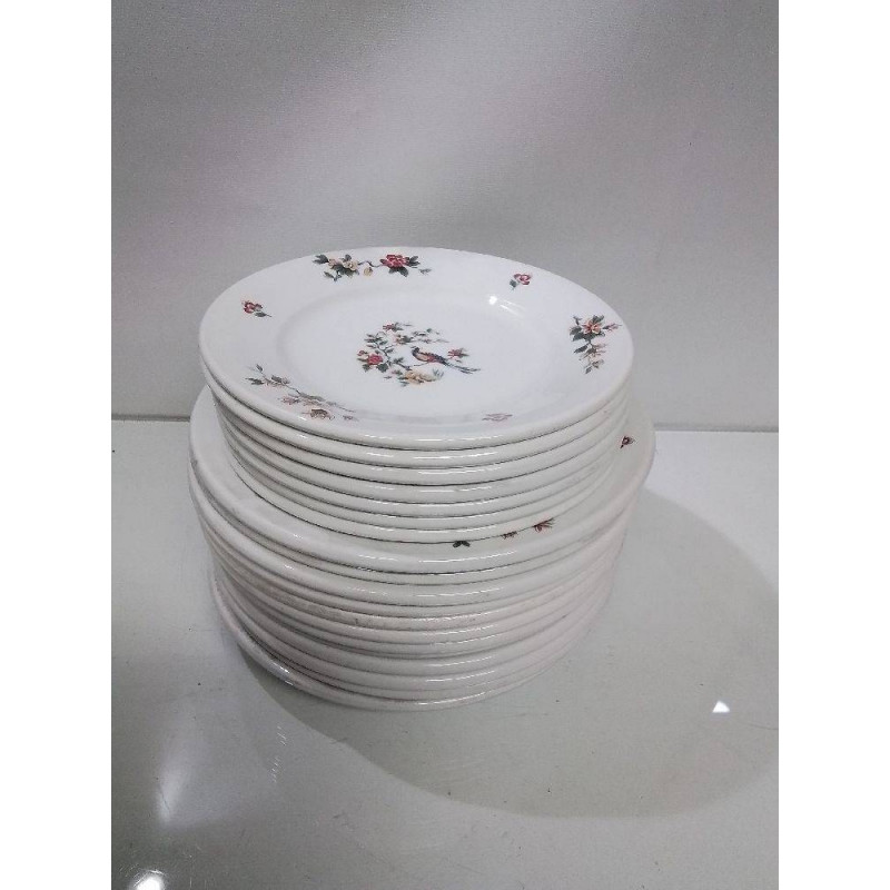 LOT D’ASSIETTES PYROBLAN PORCELAINE 
