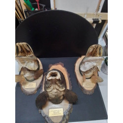 TROPHÉE DE PECHE GM