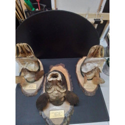 TROPHÉE DE PECHE GM