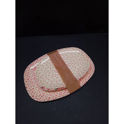 VAISSELLE PICNIC RICE 
