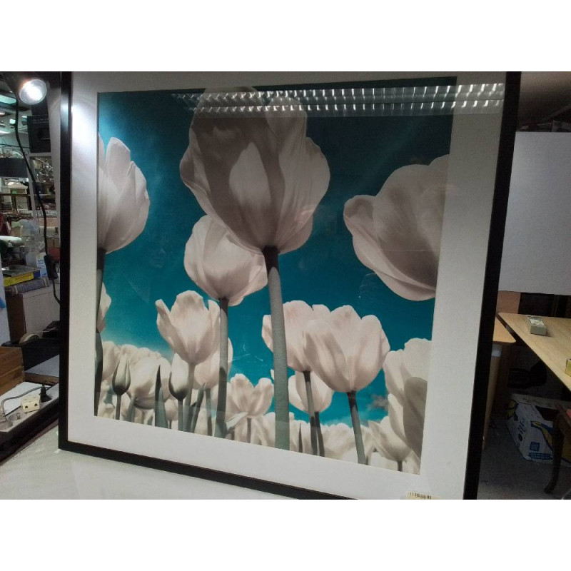 CADRE TULIPES 