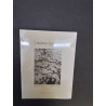 LIVRE L’ATTENTE TÉMÉRAIRE 