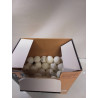 LOT BALLES PING PONG