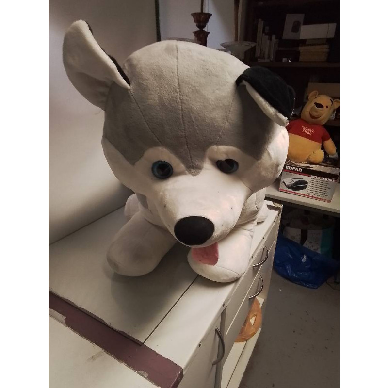 HUSKY PELUCHE GRAND MODELE