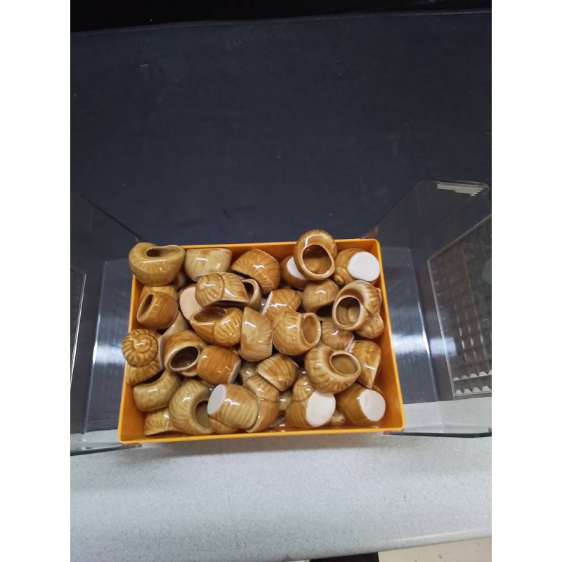 LOT COQUILLES ESCARGOT 