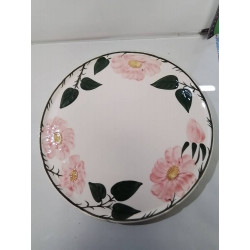 PLAT VILLEROY ET BOCH WILD...