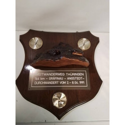 THERMOMÈTRE BAROMÈTRE TROPHÉE 