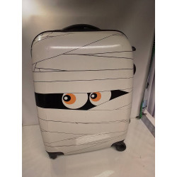 VALISE BLANCHE 