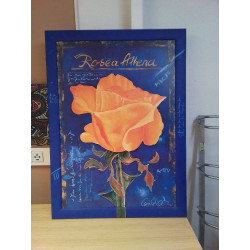CADRE ROSEA ATHENA 