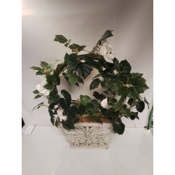 DÉCORATION PLANTE...