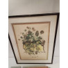 LITHOGRAPHIE JEAN LURCAT