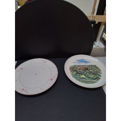 PLAT VILLEROY ET BOCH 