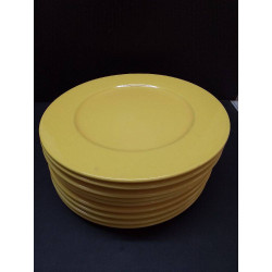 LOT D\'ASSIETTES PAGNOSSIN...