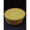 LOT D\'ASSIETTES PAGNOSSIN IRONSTONE 
