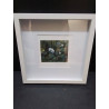LITHOGRAPHIE OFFSET MARLENE JAHN