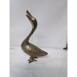 CANARD LAITON