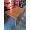 TABLE AVEC ALLONGES 