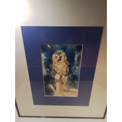 AQUARELLE CHOUETTE SIGNÉE 