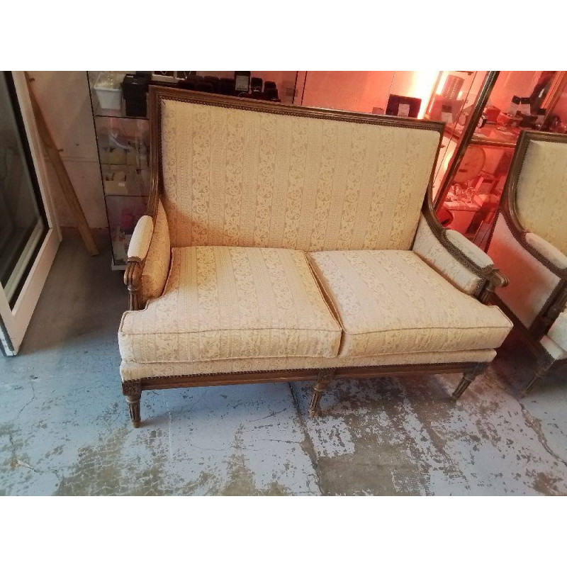 SALON STYLE LOUIS XVI 2+1+1