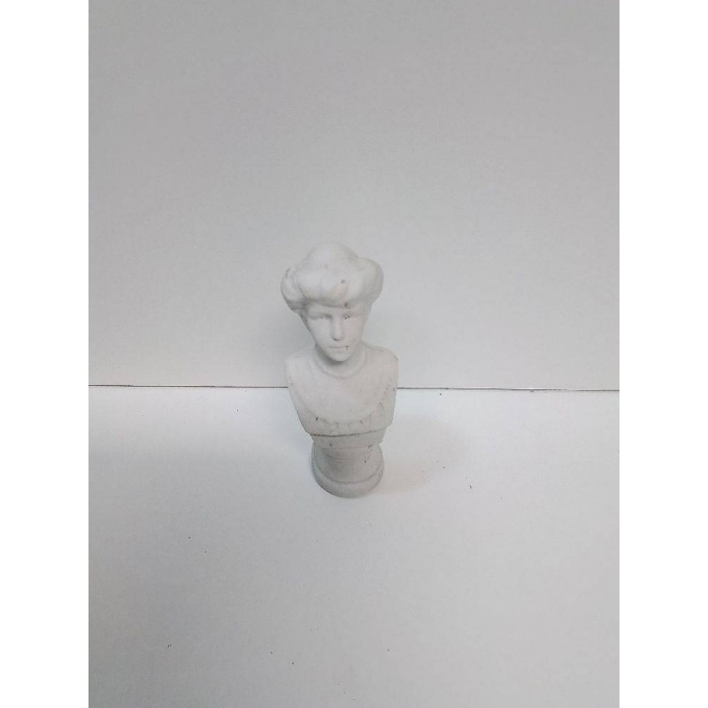 BUSTE BISCUIT PETIT MODÈLE 