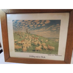 REPRODUCTION VOLKMANN