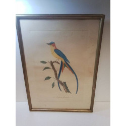 REPRODUCTION ANCIENNE LE...