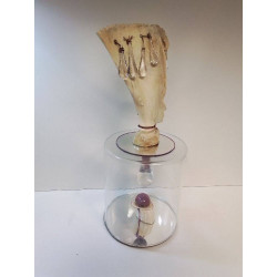 SCULPTURE MARTINE...