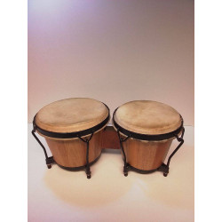 BONGOS