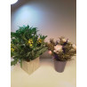 DÉCORATION FLEURS ARTIFICIELLE 