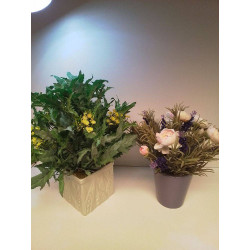 DÉCORATION FLEURS...