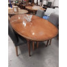 TABLE OVALE + ALLONGES 