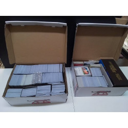 LOT CARTES POKEMON 