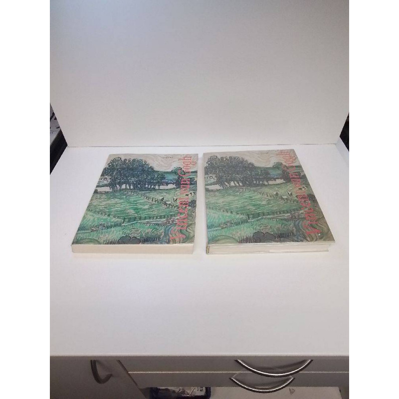 LIVRE VINCENT VAN GOGH LA PIECE