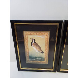 OISEAUX ENCADRÉ LA PIECE 