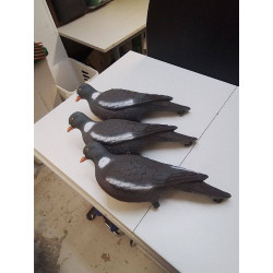 LOT PIGEONS 