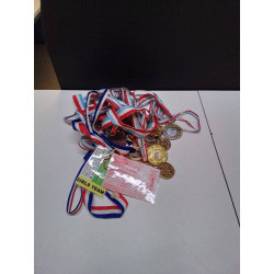 LOT DE MEDAILLE HANDBALL...