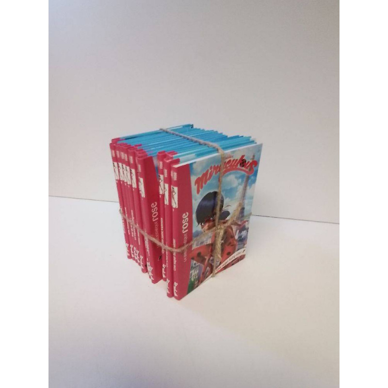 LOT LIVRE MIRACULOUS PIECE