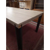 TABLE MODERNE PIÈTEMENT METAL 