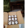 LOT DE TASSES LA PIECE
