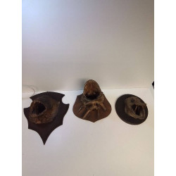 TETE DE POISSON LA PIECE