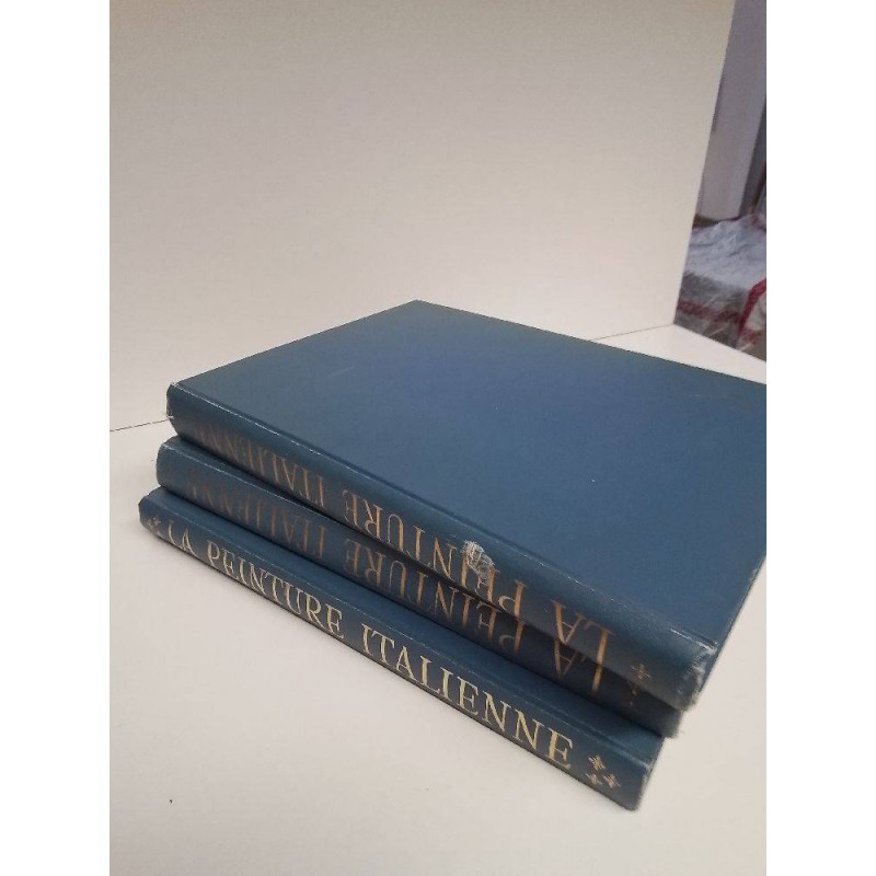 LOT LIVRE LA PEINTURE ITALIENNE 