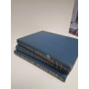 LOT LIVRE LA PEINTURE ITALIENNE 