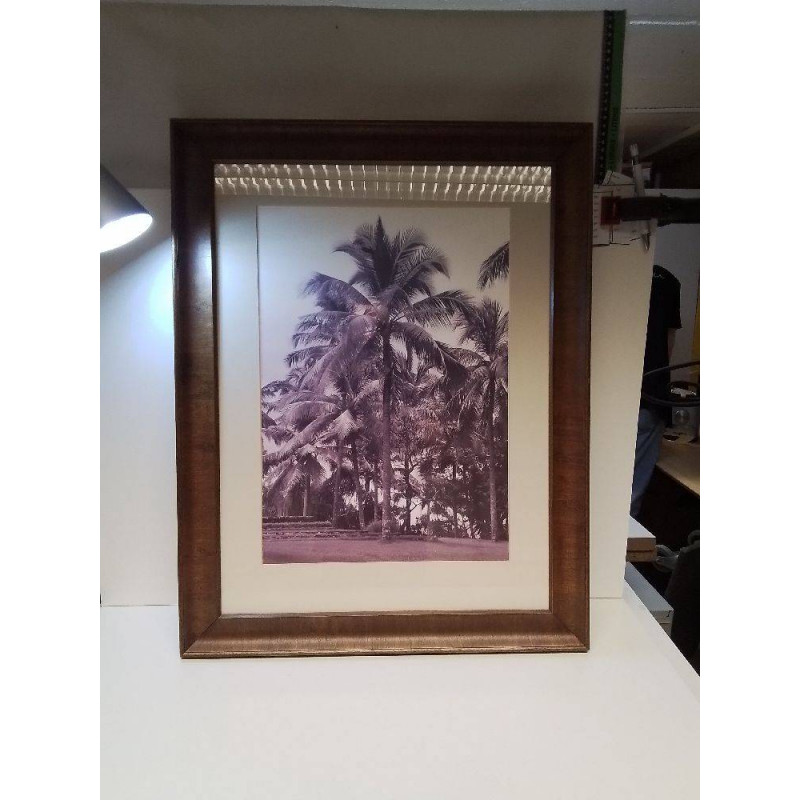 CADRE PHOTO PALMIER